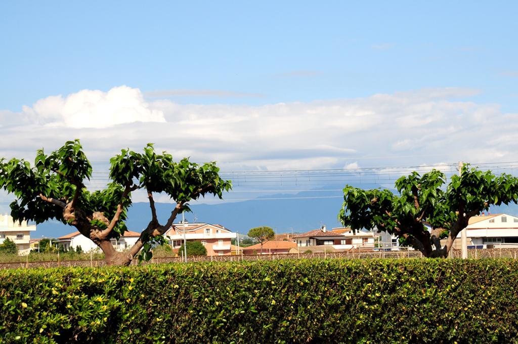 Agriturismo Frontemare Джулианова Екстериор снимка